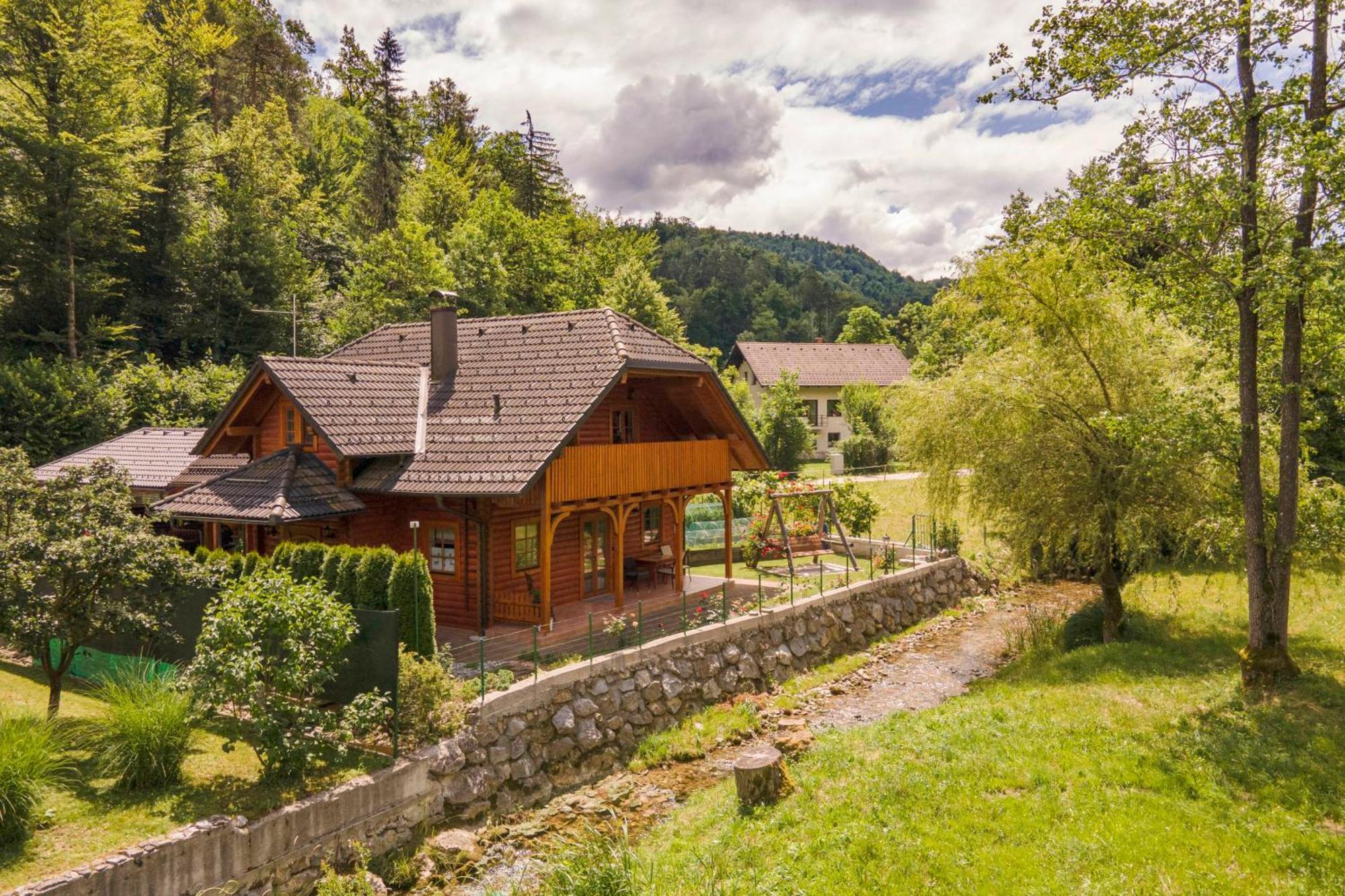 Apartma Metka Medvode Exterior foto