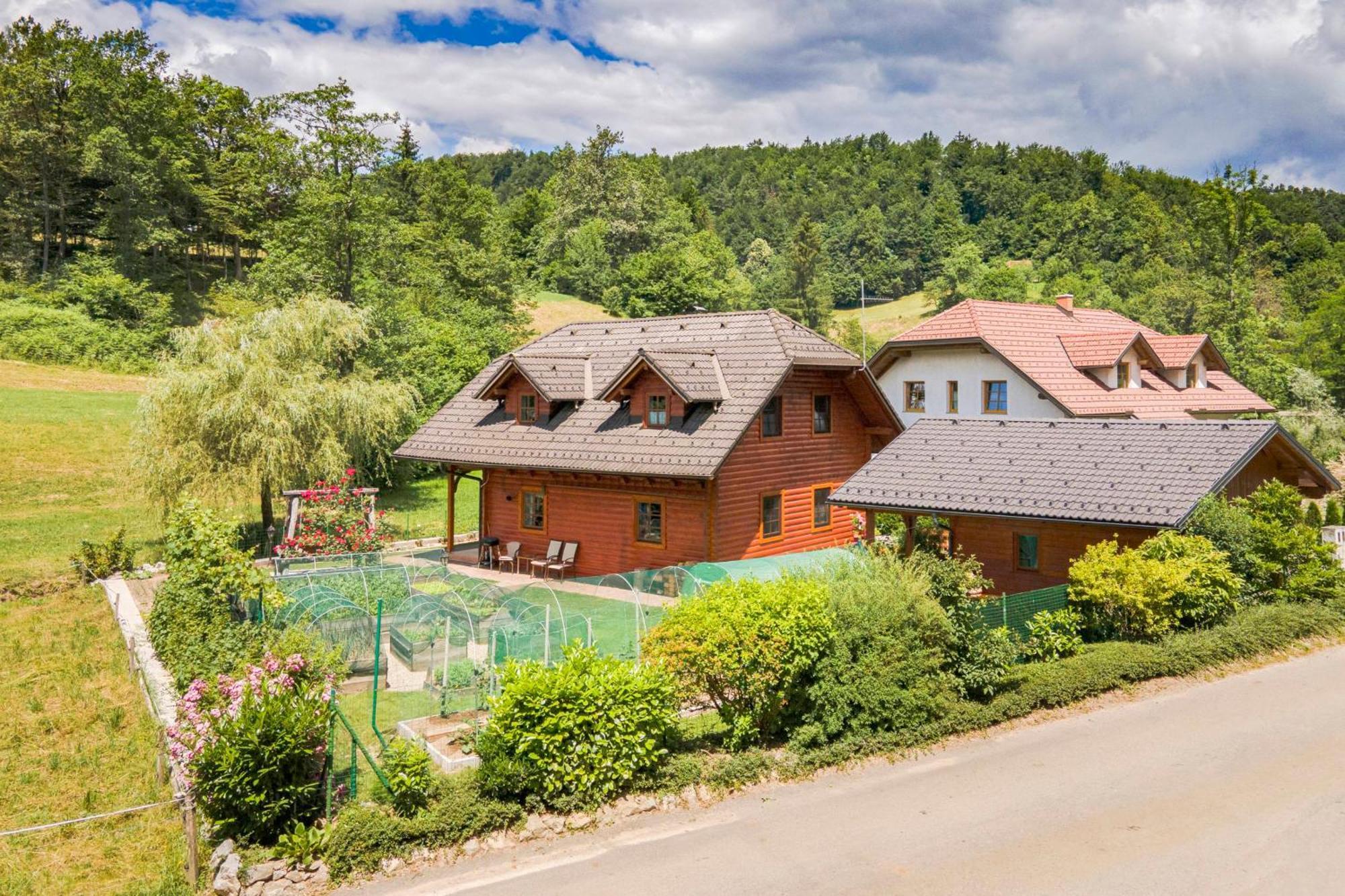 Apartma Metka Medvode Exterior foto