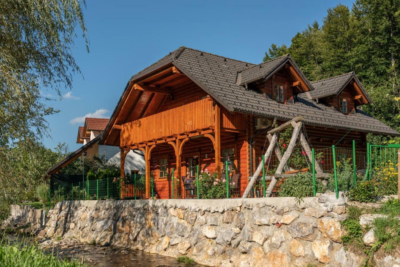 Apartma Metka Medvode Exterior foto